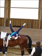 voltitag 2009 _CD1 108